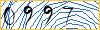 Enter the symbols from image