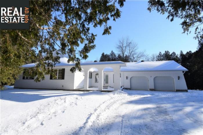 Property 79 Eliza Street main img