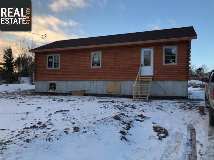 Property 8 Salmonier Line main img