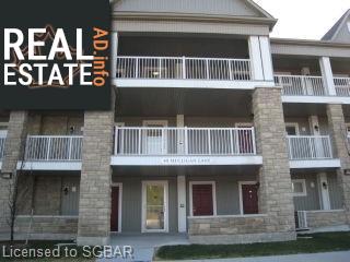 Property 40 Mulligan Lane #307 main img