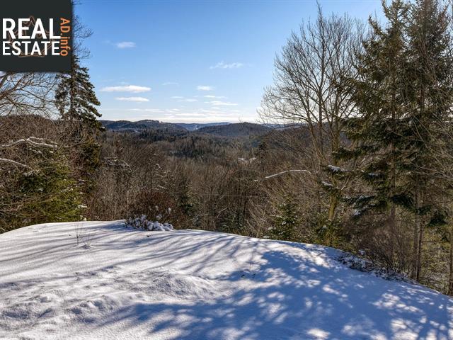 Property 4257 Rue Du Haut-Bois main img