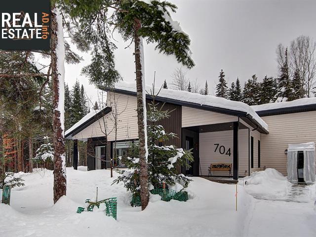 Property 704 Rue Viau main img