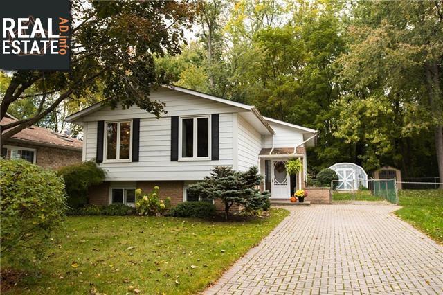 Property 8 Fallingbrook Drive main img