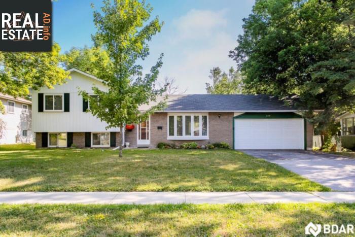 Property 238 Pine Drive main img