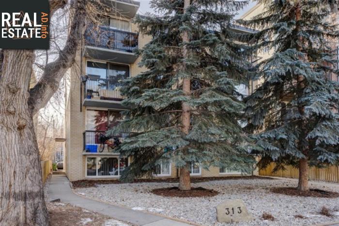 Property #202 313 20 Av Sw main img