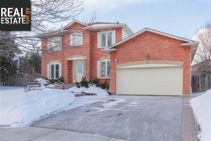 Property 20 Suter Crescent main img