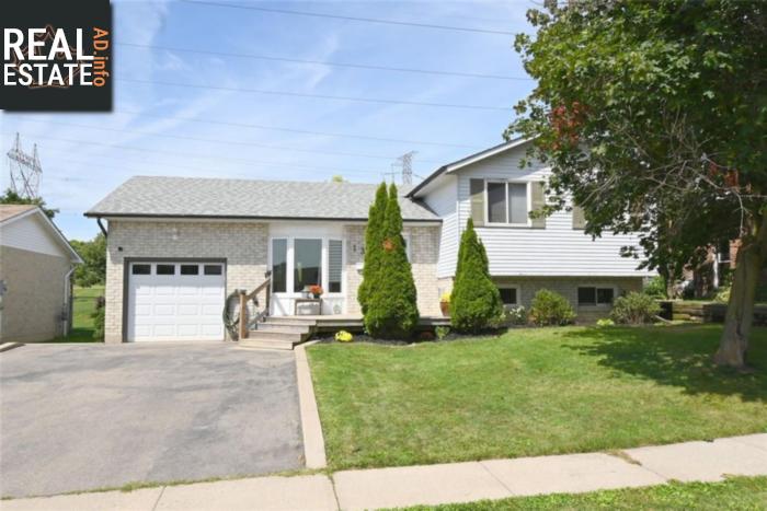 Property 137 Williamson Drive main img