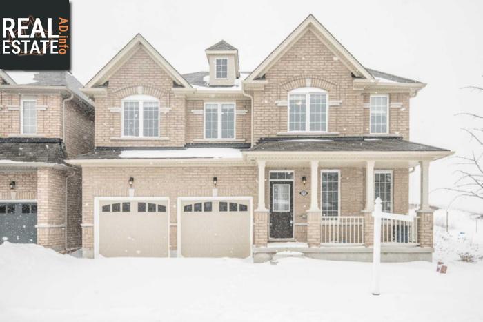 Property 10 Wilmot Rd main img